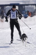 Lenk 2013